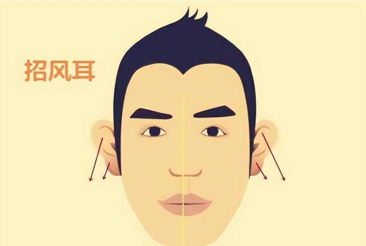 你的耳朵是啥样_听觉_耳垂_命运