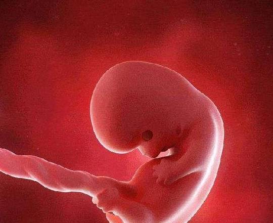 怀孕2个月感觉肚子在"动",是胎动吗?不!