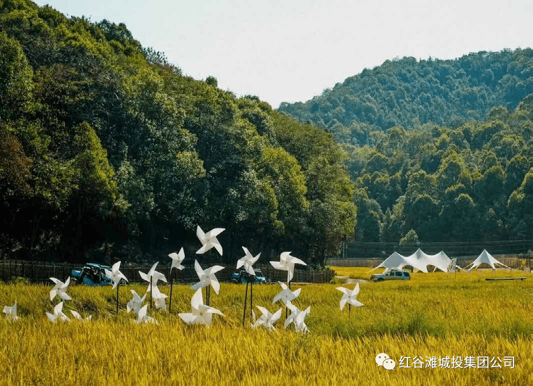 马咀山草原(湿地)项目效果图马咀山草原(湿地)项目让红谷滩区南部产业