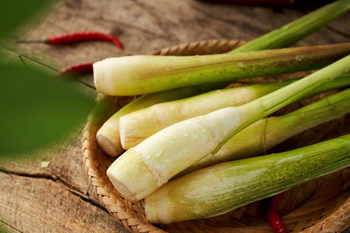 茭白图片(茭白图片大全大图)