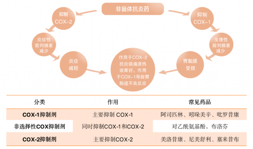 非甾体抗炎药机制图片