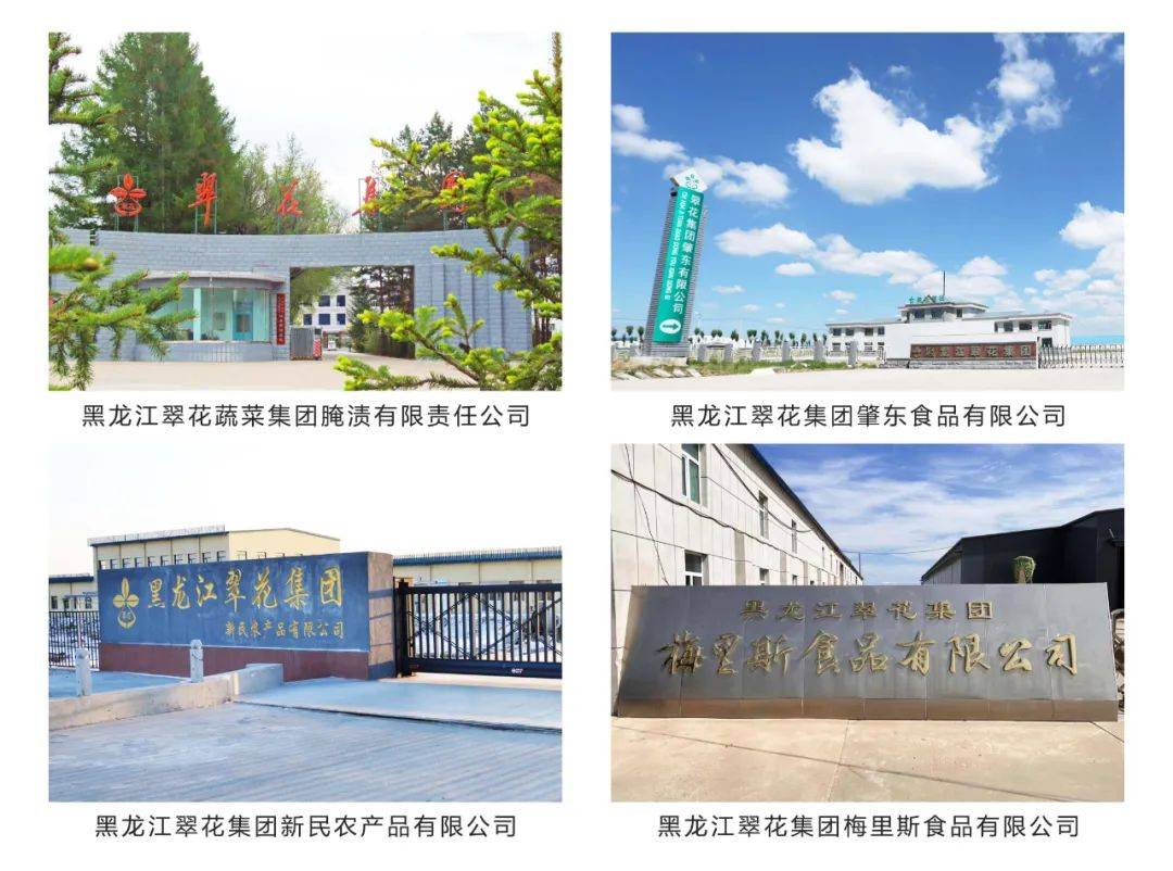 在东北,有一种酸菜叫翠花酸菜!_白菜_酸度_品质