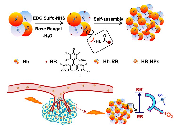 室李峻柏课题组对光敏剂的可控组装与高效递送进行了长期系统化研究