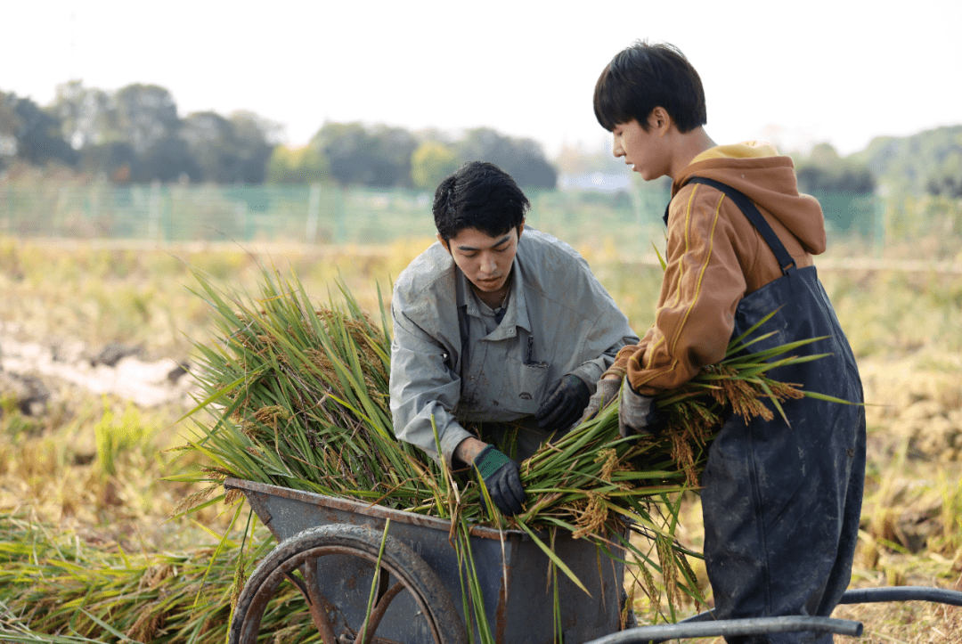爱奇艺劳作纪实节目《种地吧》线上研讨会成功举办_观众_土地_年轻人