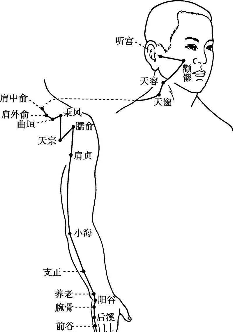 十四經脈 背誦歌訣,圖文並茂(珍藏版)_分寸_穴位_陽明