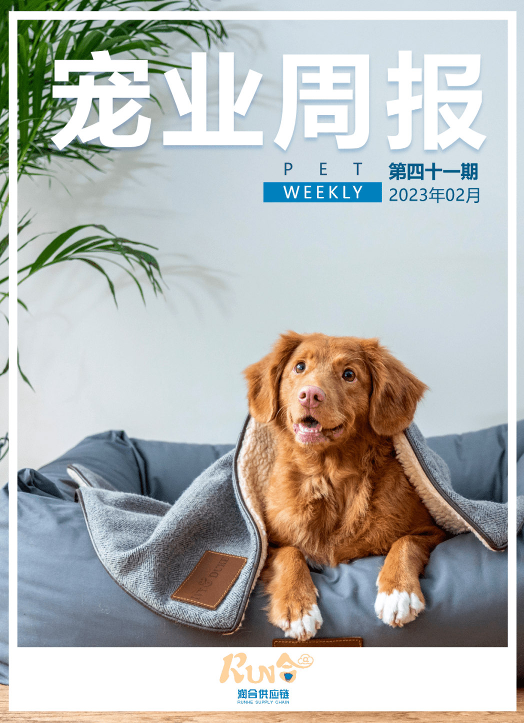 How - 嗅覺最厲害的狗狗狗的嗅覺比人類更為敏銳，拜牠們腦部前方的數百萬個嗅覺感受器所賜，狗的嗅覺敏銳度平均是人類的10萬倍左右。狗狗 能聞到約兆分之一的濃度，相當於嗅出奧運泳池中的一茶匙糖。而哪些品種狗的嗅覺特別厲害呢？ #尋血獵犬, image size:1048x1447