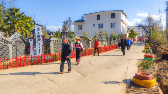 牟定共和镇:扮靓乡村绿美底色_建设_云南省_环境