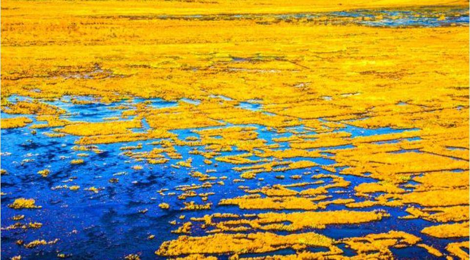 布拖乐安湿地:四川第二大湿地,十大最具人气高原湿地之一