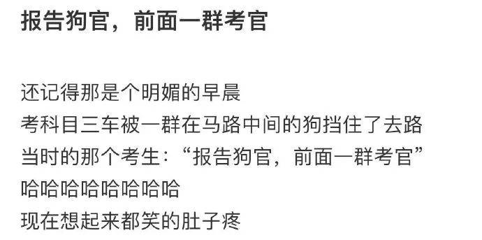 那个驾照非得考吗，啊啊啊那辈子没那么为难过……