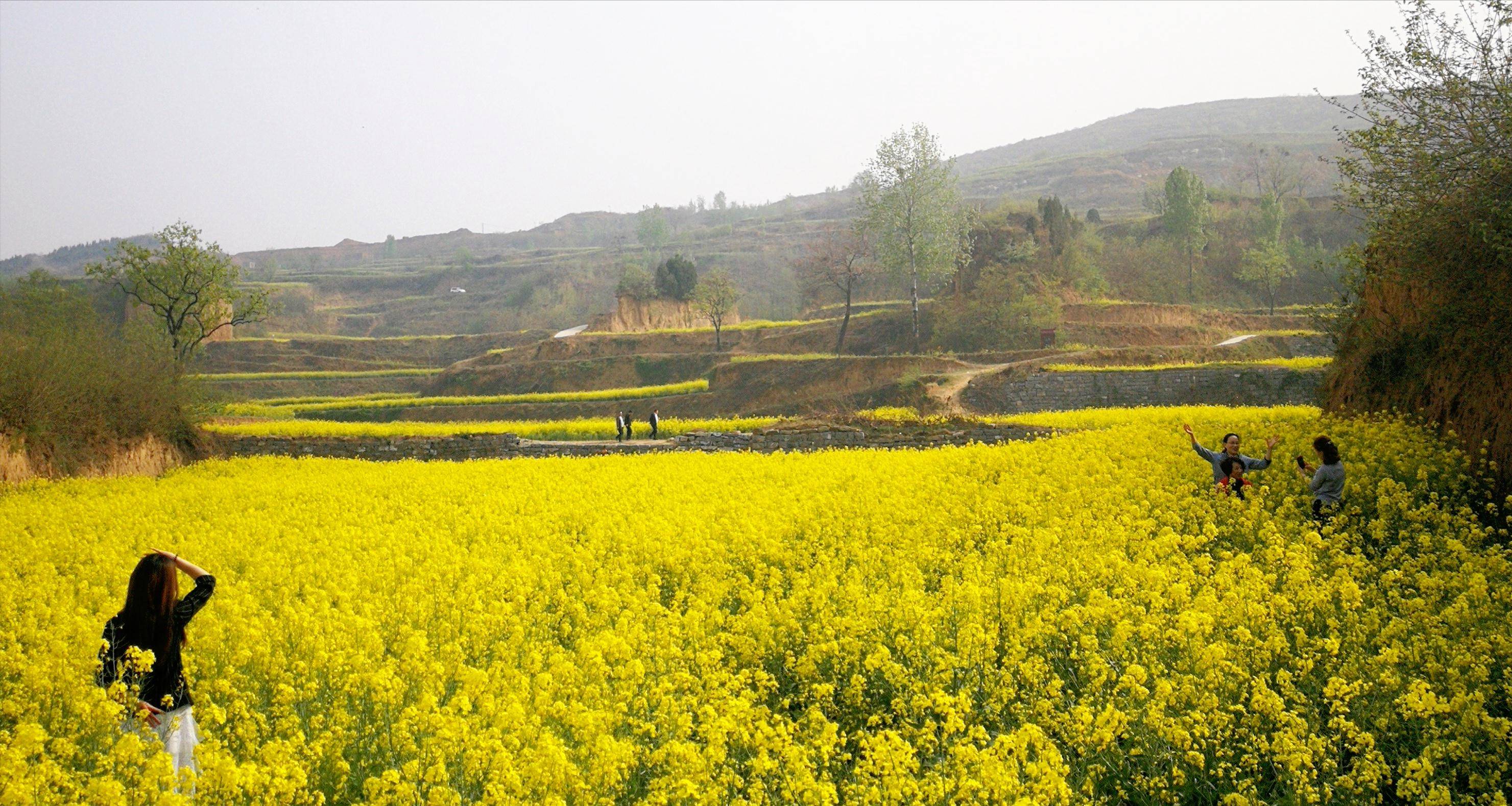 乱石坡又到了一年中最美的季节,当地村民高兴地介绍