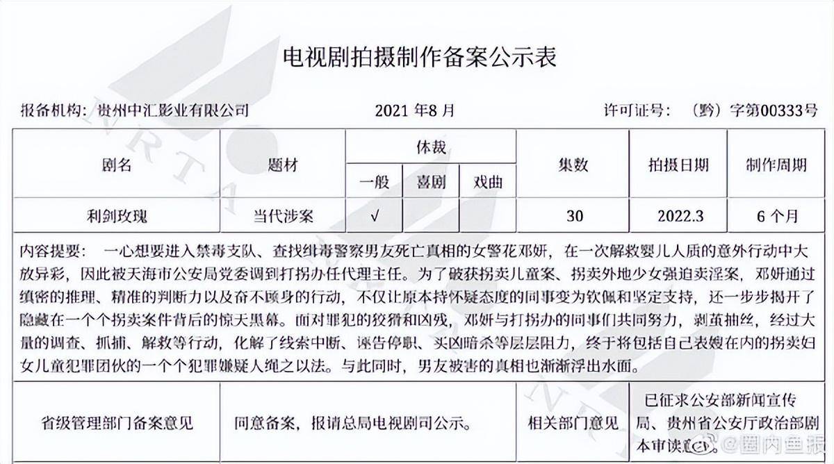 不要告诉别人（假怀孕恶搞礼物图片女士）假怀孕的剧 第25张