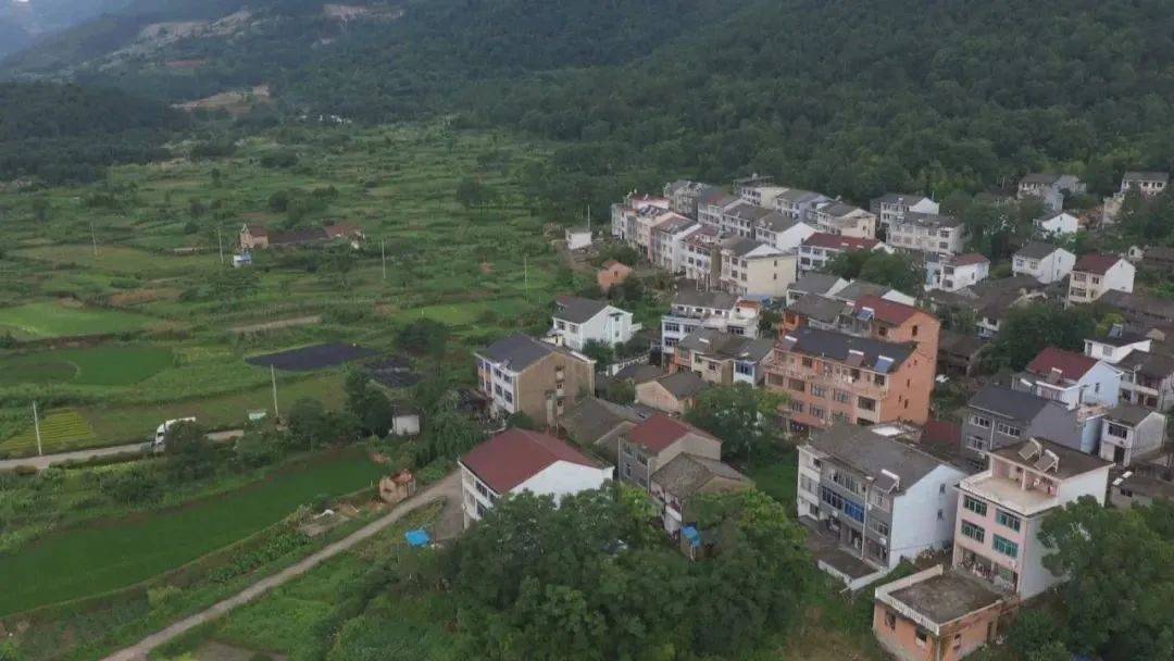 有生活 | 三门县有一个远近闻名的"杏梅古村"