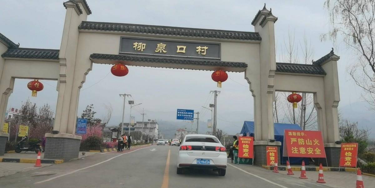 阳春三月,鄠邑区蒋村镇柳泉口村桃花节,一个免费赏桃花的好地方_东岭