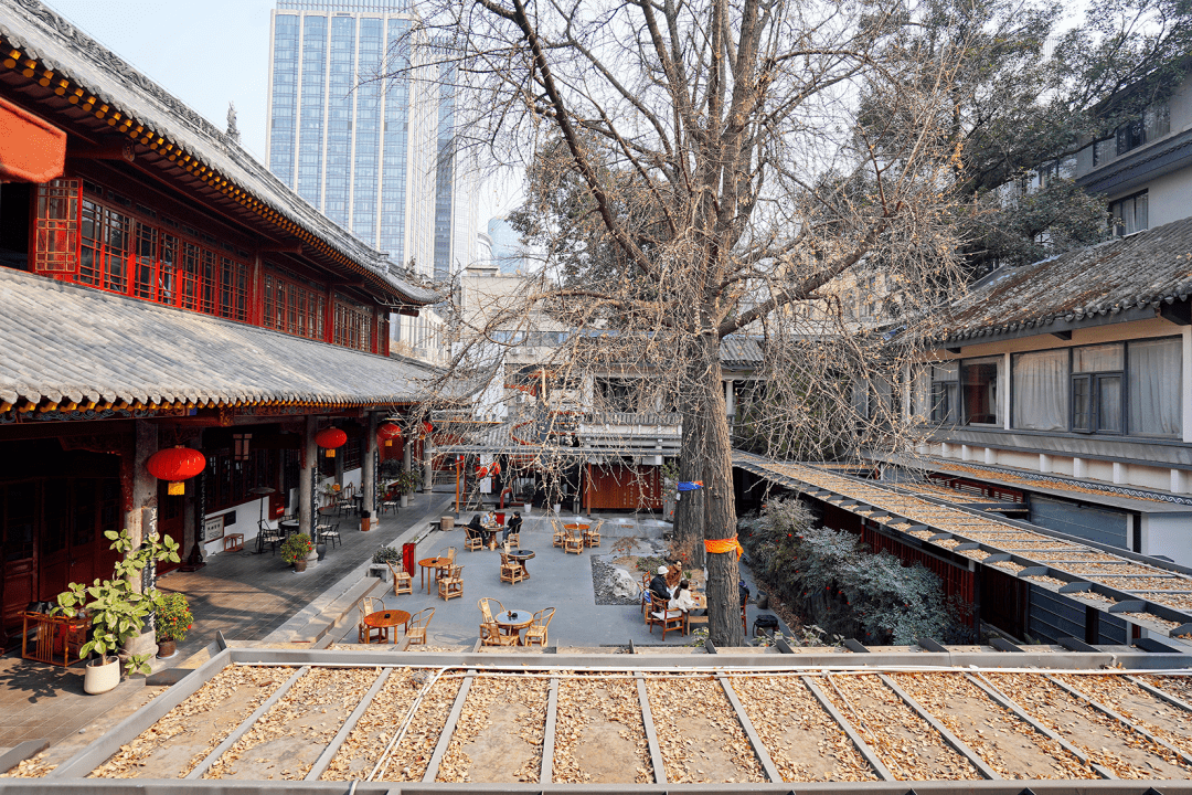 成都10家必打卡老茶馆,湖畔边,戏台旁,寺庙里.太好泡了!