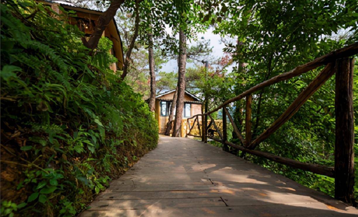 清遠筆架山附近的小眾民宿,住木屋,賞山景,泡湯泉,可溪邊垂釣_夏天