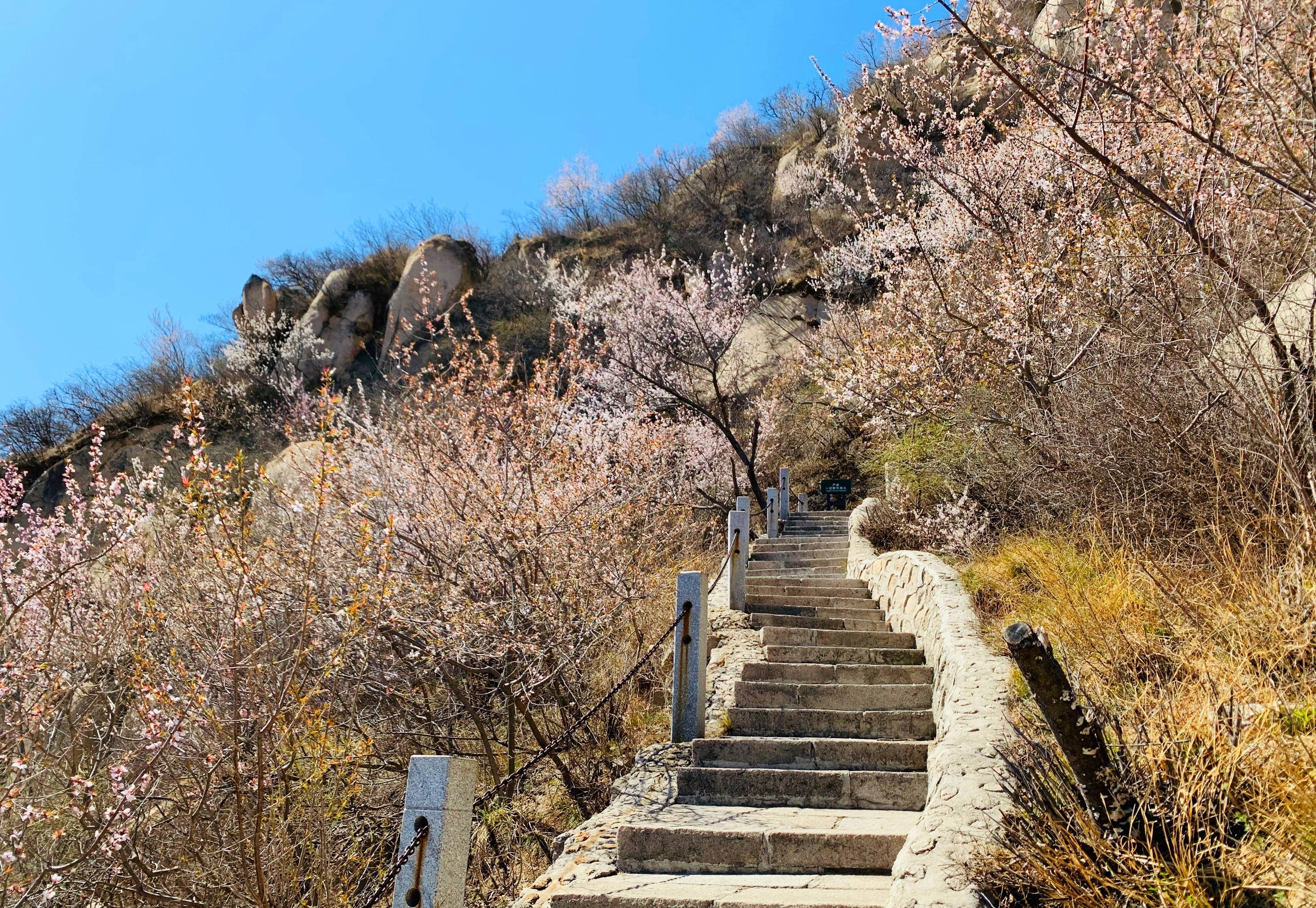 北京凤凰岭图片大全图片