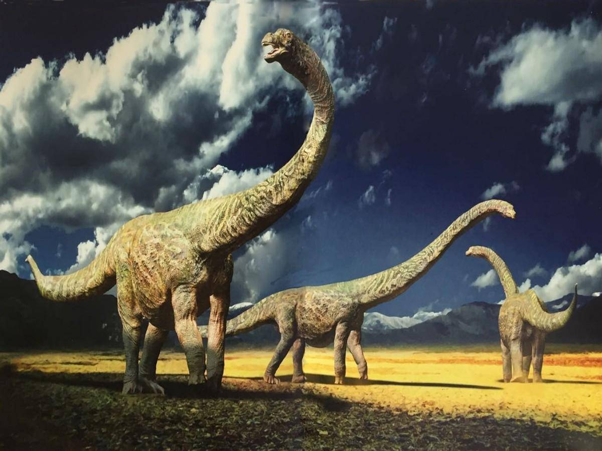 你真的不一定知道河南竟然有这么多的恐龙_化石_盆地_大陆