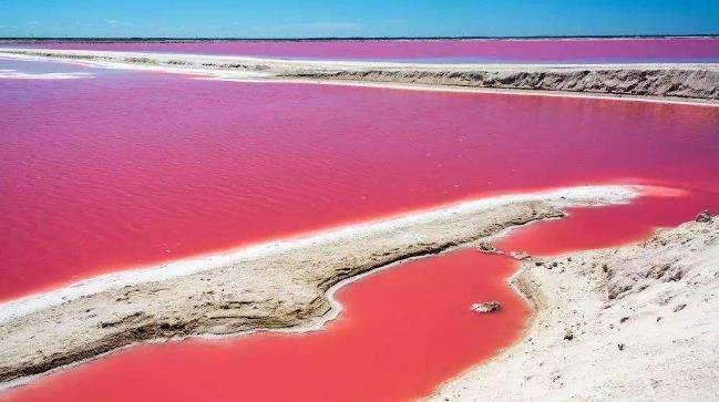 世界上最浪漫的粉色沙滩,满满的少女心,连空气都是甜的_群岛_潜水