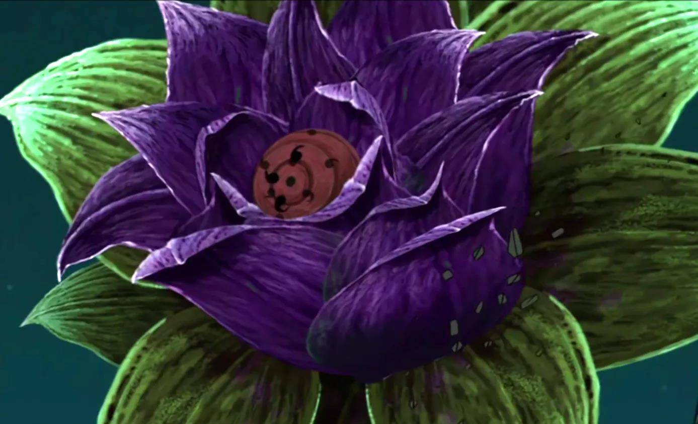 如果宇智波斑没有吸收神树,带土能发动无限月读吗?