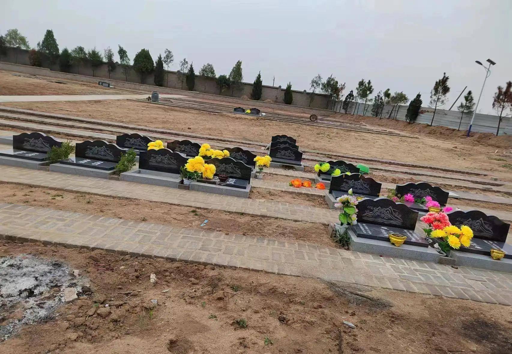 一条祭祀之路,彰显南阳山水的文化魅力_紫山_田营_公墓