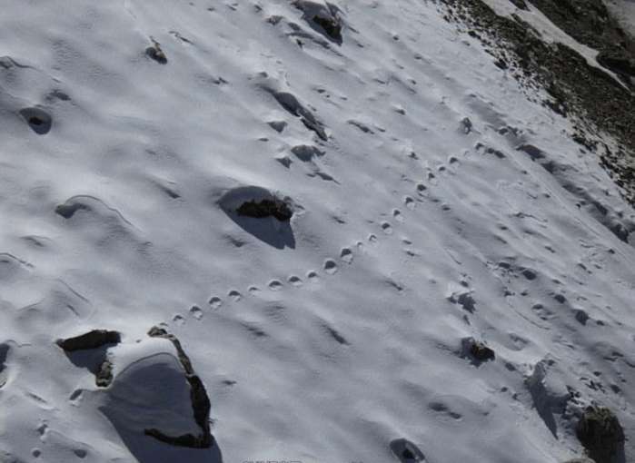 喜马拉雅山有雪人出没？科学家探索多年依旧无果，内藏千年谜团(图4)
