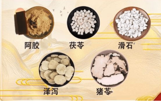 名方"猪苓汤"加减!滋阴清热,利水利尿_患者_中药_因为