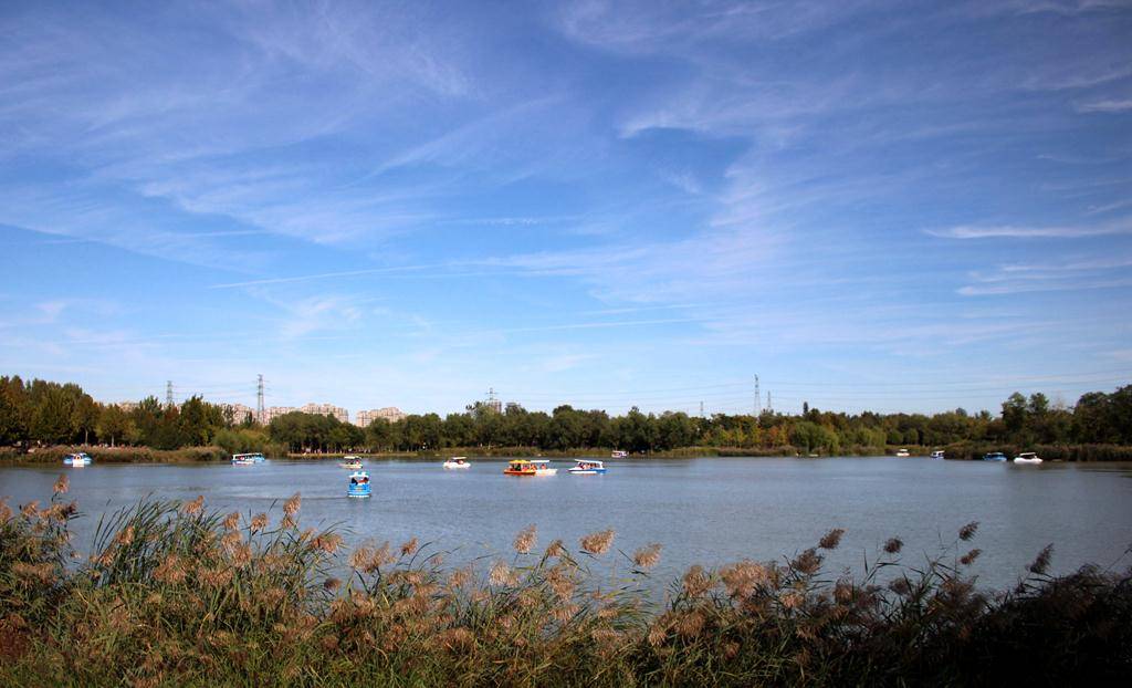 相關資料顯示,南海子公園是北京四大郊野公園,也是北京最大的溼地公園