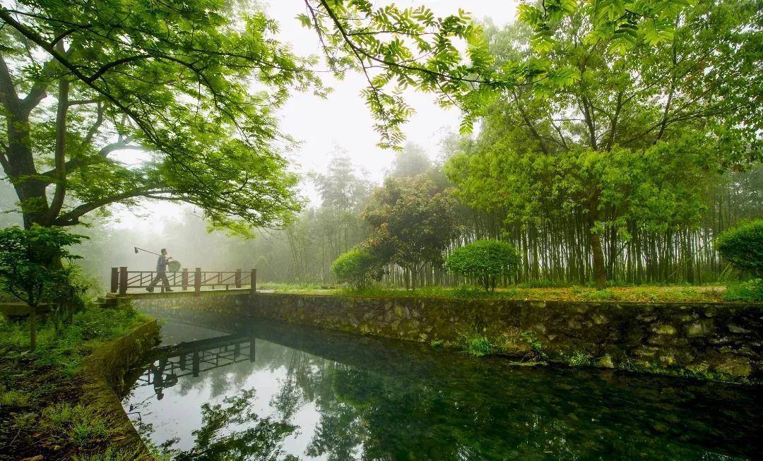 餘姚市白鹿獅峰觀景臺地處餘姚南山區,東與海曙區交界,西鄰大嵐鎮