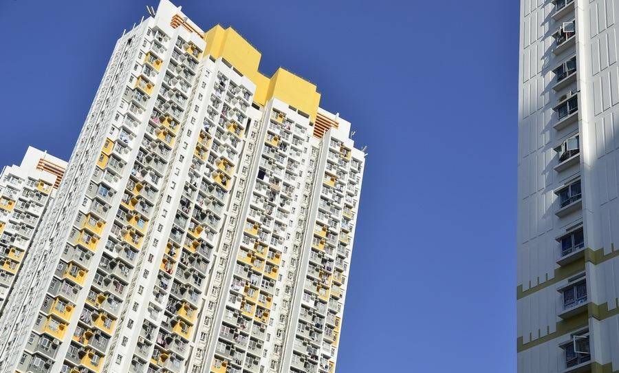 「港岛札记」石硖尾深水埗:公屋,山寨厂与街头小食之旅_香港_艺术