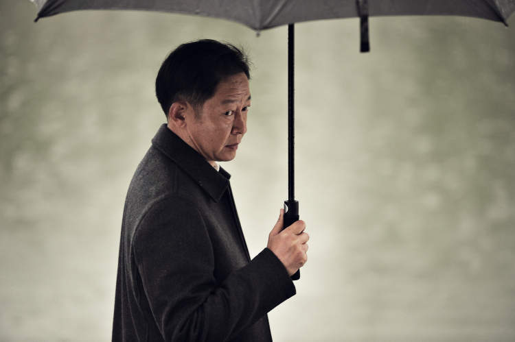 历经改名,换角,王志文新剧《风雨送春归》,观众好评如潮_余仲君_麦