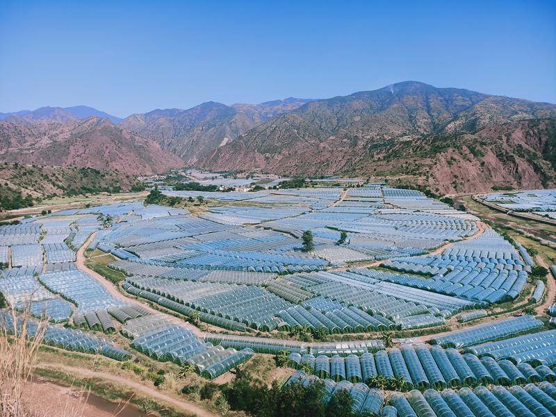 双柏县大麦地镇:小小西红柿 富民大产业_整治_土地_江畔