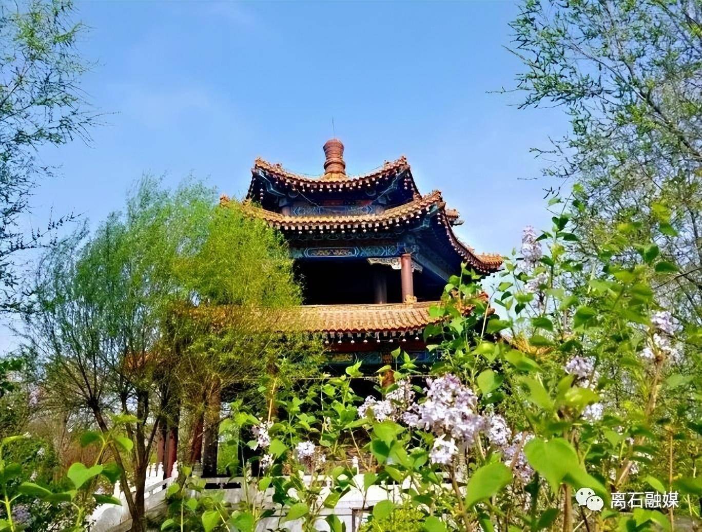 胜溪湖森林公园纪行_孝河_景观_休闲