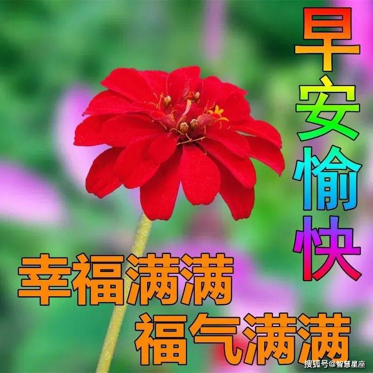 2月25日早上好动态表情图片大全,早上好动图美图大全!