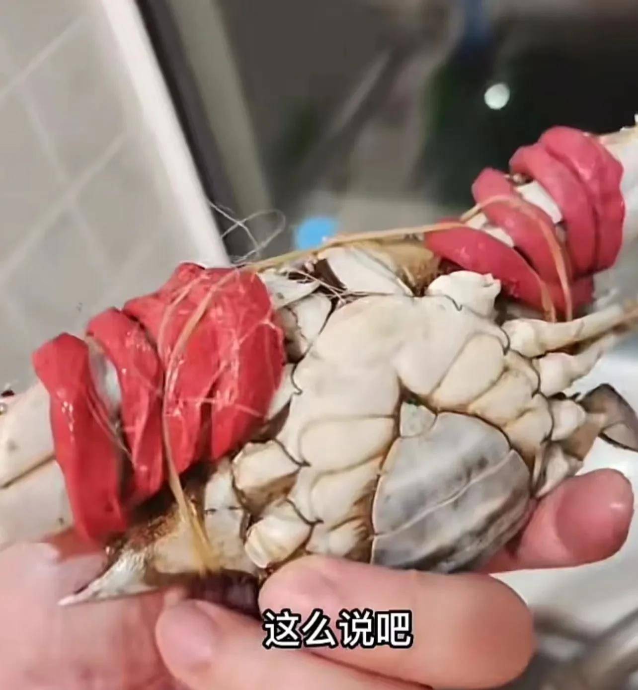 结果回家发现绑螃蟹的皮套重量惊人!_消费_时候_商品