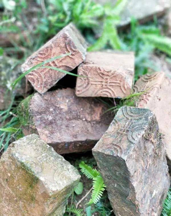 原创            鄱阳各乡镇人口和面积排名新鲜出炉 看看你家乡排第几？（鄱阳县各乡镇人口多少万）