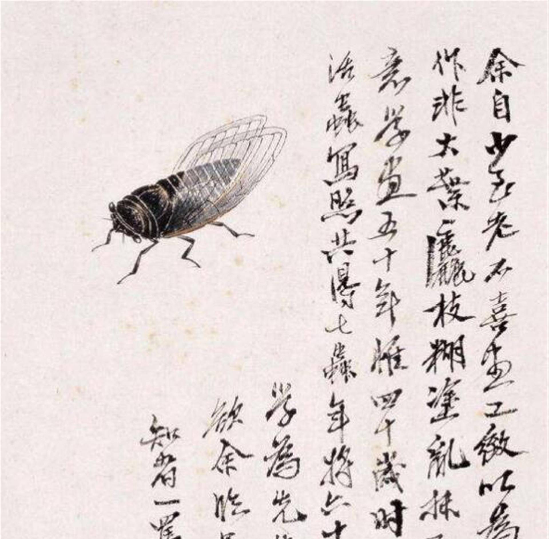 齐白石画的蝉为何能拍出8亿高价?