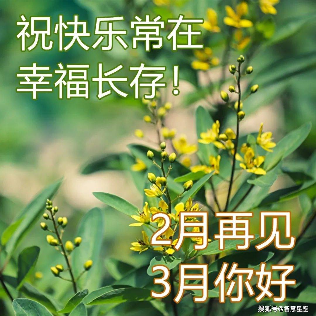 二月再见三月你好早上好祝福图片 最美三月简短暖心问候_时光_万物