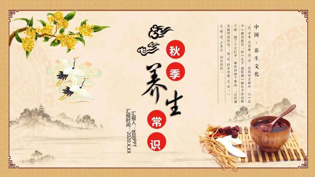 8套中医中药主题PPT模板，中国风和传统文化结合的精品PPT合集插图