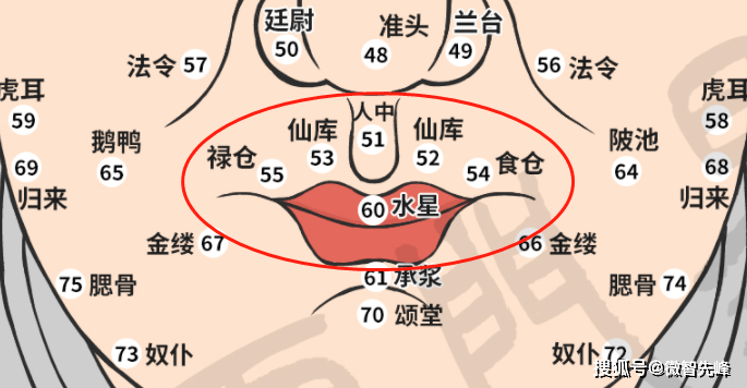 面相食仓禄仓图片