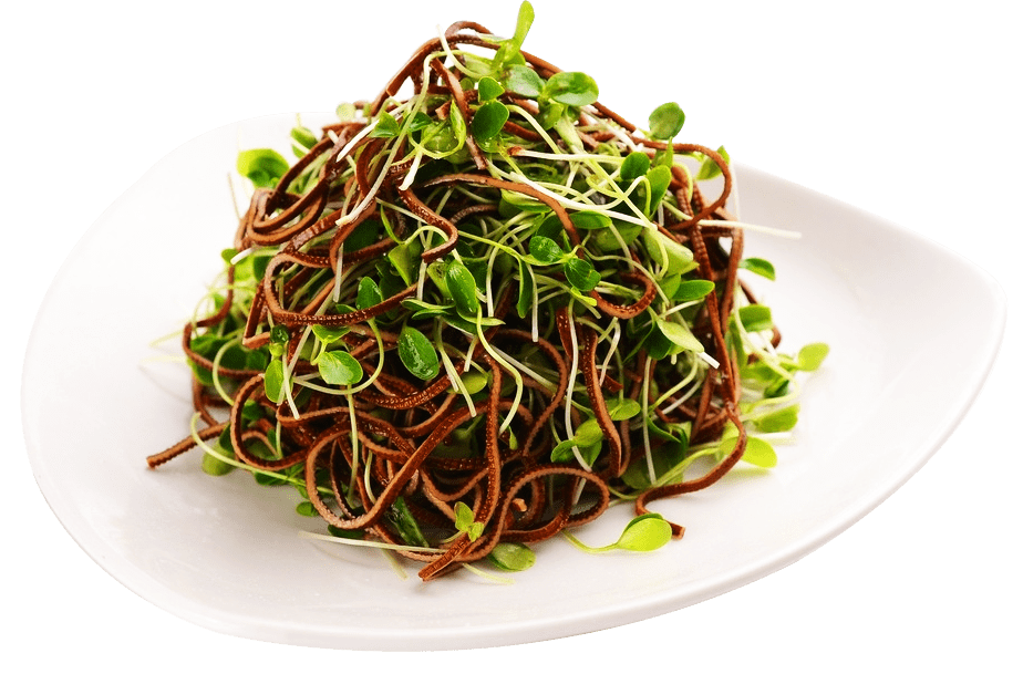 五香黑豆丝营养更美味_时尚_大豆_老大