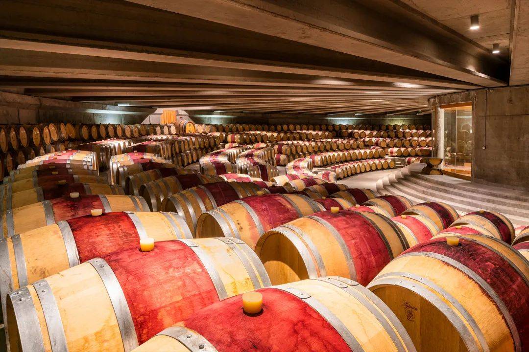 蒙特斯酒庄灵魂葡萄酒——紫天使最新年份亮相魔都!_佳美娜_美酒_酿造