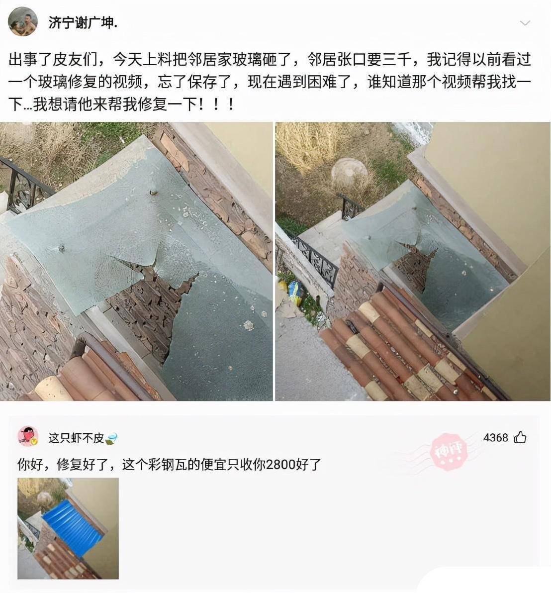 爆笑神评：人类大便要擦屁股，动物为什么不消？神评那是要笑死我