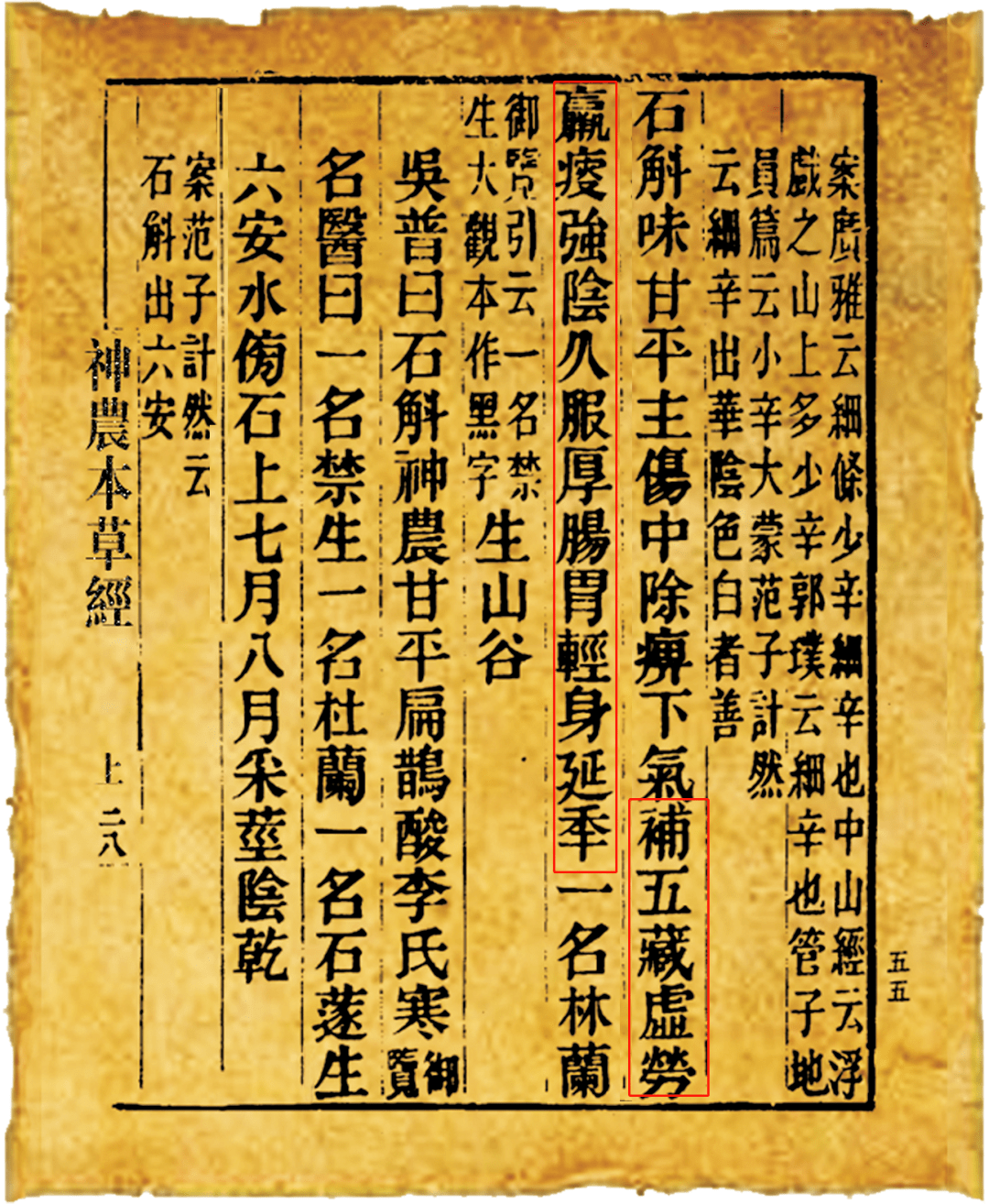 《神农本草经》记载霍山石斛:味甘,平.补五脏虚劳羸瘦,强阴.轻身延年.