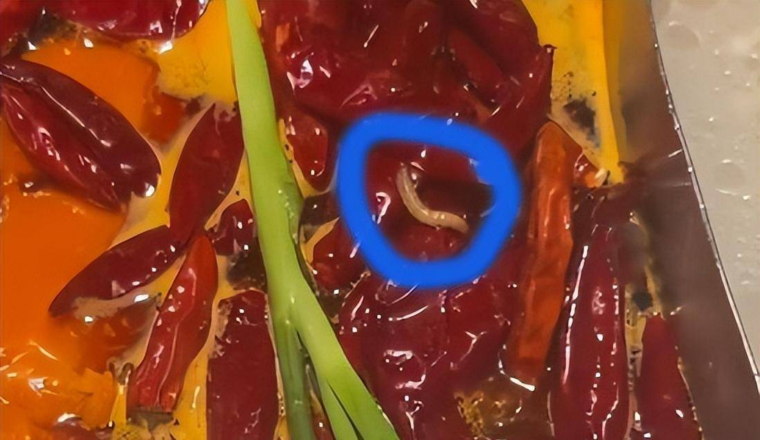 火锅锅底配料爬出蠕动活虫,店家回复是蛋白质_虫子_幼虫_干辣椒