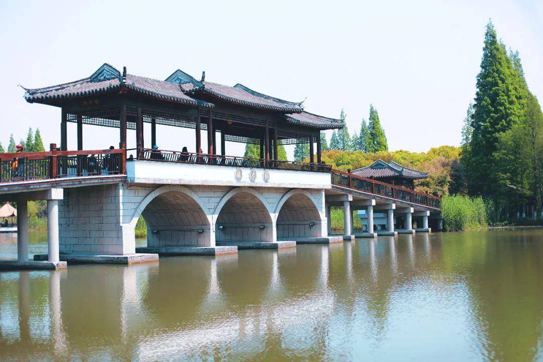 常熟沙家浜风景区又添新玩法啦_鹿邑_芦苇荡_龙船