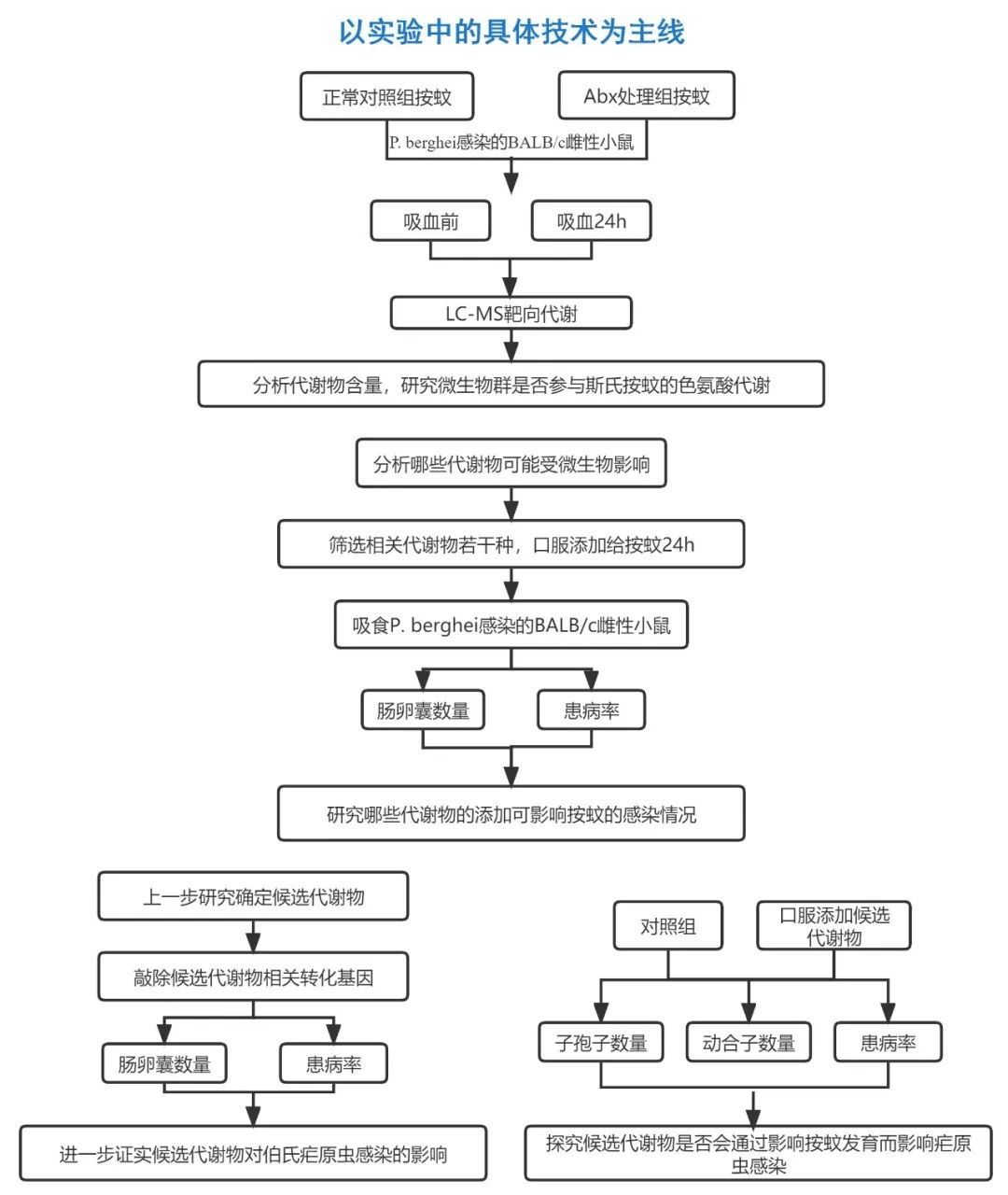 国自然写作:画好技术路线图,不然你会很吃亏_研究_实验_思路