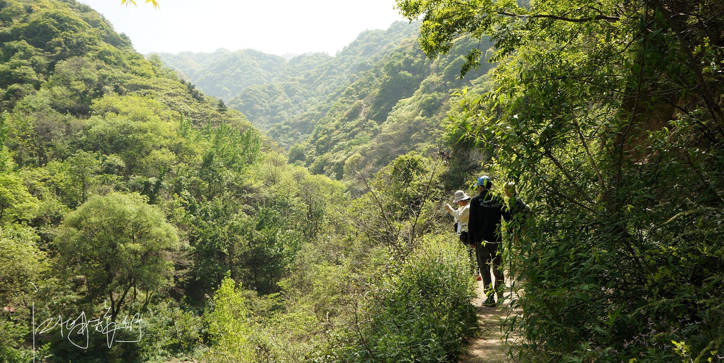 上王村爬山图片