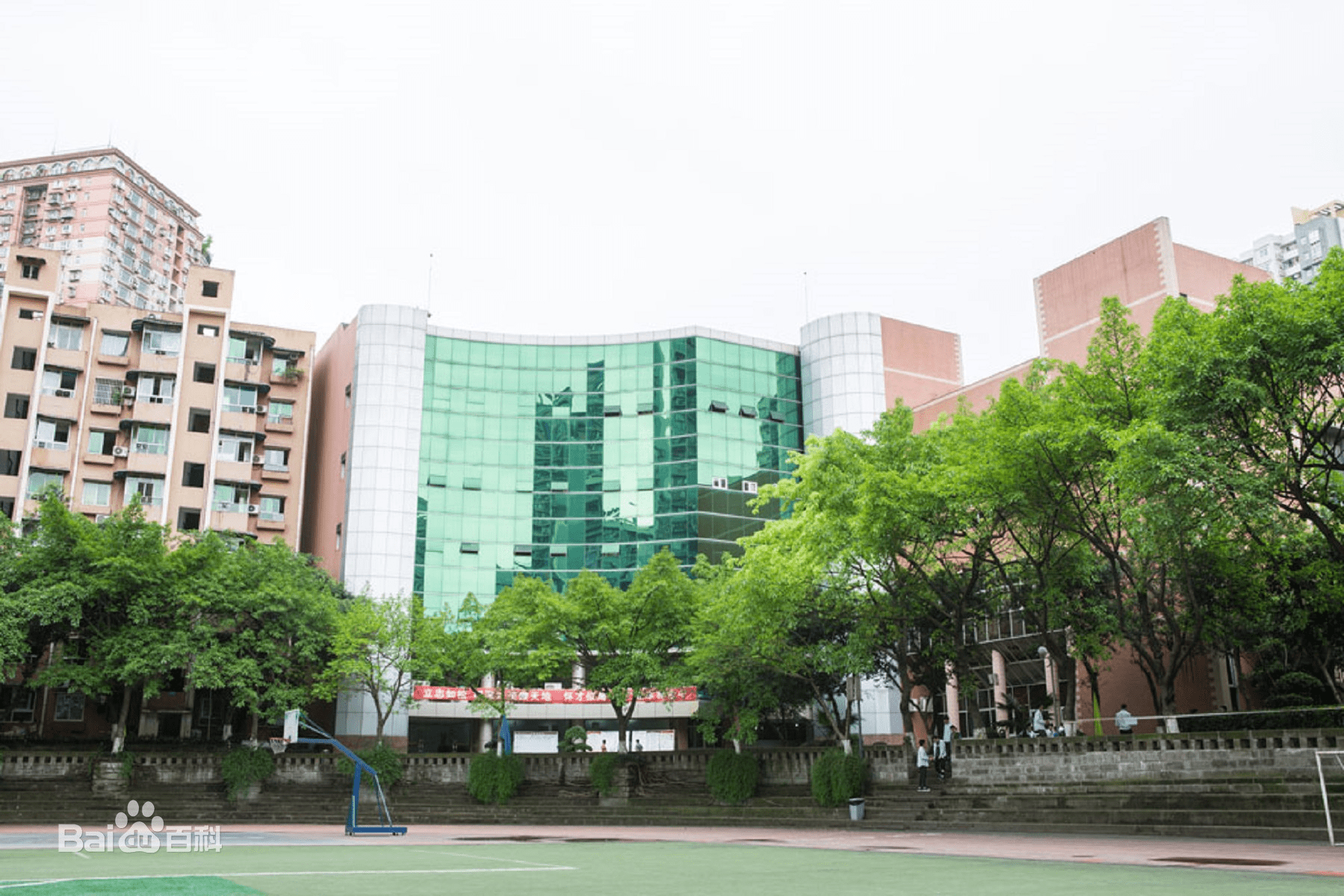 重庆沙坪坝八中中学:一所百年名校的初高中部_校区_新生_分数
