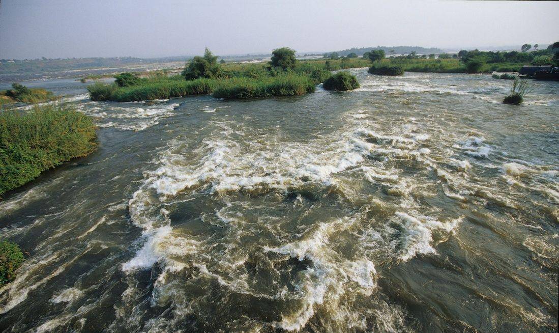 刚果河作为世界第一深河,到底有多危险?_动植物_河流_地方