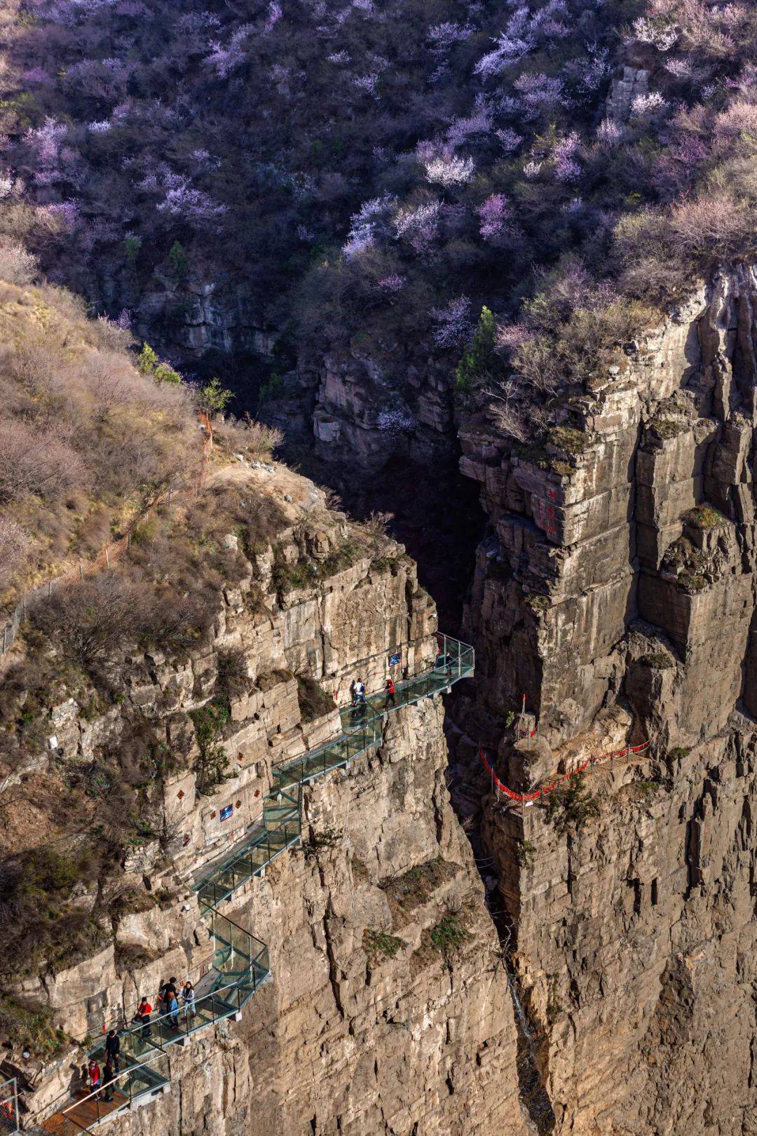 赵经理19510205088获奖名单公布平台山西黄河大梯子崖旅游景区官方